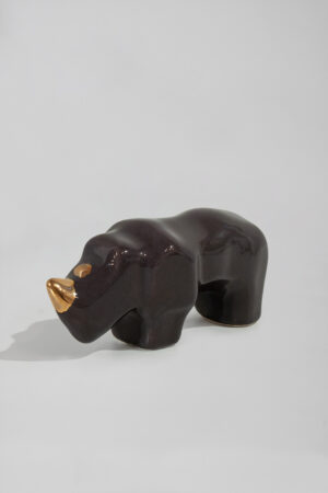 Micro nosorożec (bakłażan)